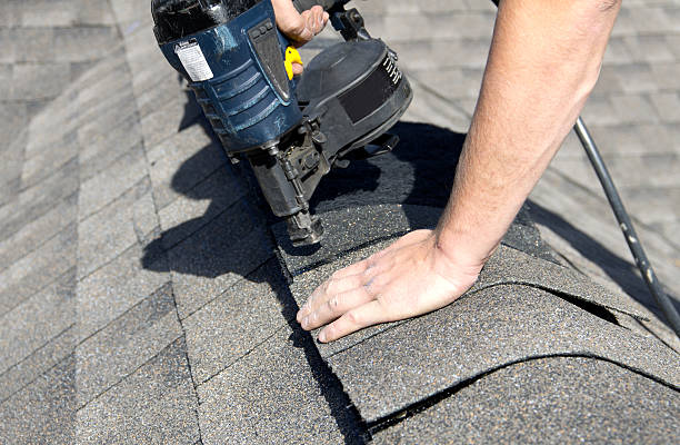 Roof Moss and Algae Removal in Woodlawn Beach, FL